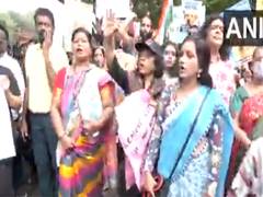 
      
      Animal lovers protest SC order to move stray dogs in Delhi-NCR 
      
      