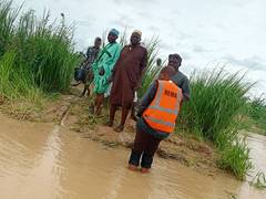 
      
      40 missing, 10 rescued as boat capsizes in Nigeria
      
      