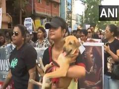 
      
      Animal lovers in Siliguri protest against SC directive on dogs
      
      