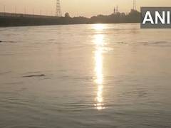 
      
      Delhi: Yamuna flows above danger mark
      
      