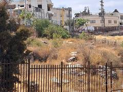 
      
      Suspected terror attack thwarted at Hebron checkpoint
      
      