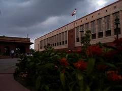 
      
      Man scales wall using tree to jump into Parliament, nabbed
      
      