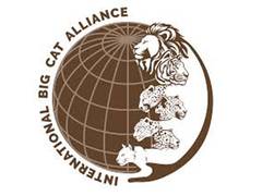 
      
      India extends UN Act privileges, immunities to IBCA
      
      