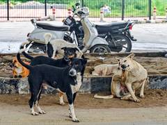 
      
      Protest erupts in Delhi’s Saket over Supreme Court’s recent order
      
      