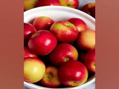 
      
      Adani Agri Fresh announces 2025 apple procurement rates in HP
      
      