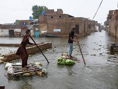 
      
      Pakistan: Over 330 lives lost in Khyber Pakhtunkhwa floods
      
      