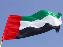 
      
      Deputy Director of MoFA’s Dubai Office receives credentials 
      
      