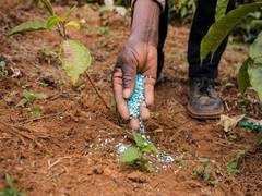 
      
      Global agrochemical market sees early signs of price recovery
      
      