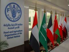 
      
      FAO marks Emirati Women’s Day
      
      