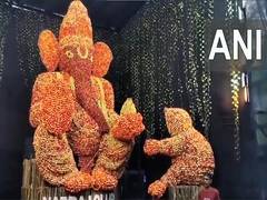 
      
      Odisha: 26-feet-tall Ganesh statue prepared with apples  
      
      
