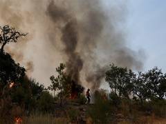 
      
      Europe sees record wildfires in 2025 amid climate change
      
      