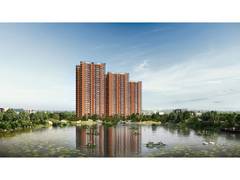 
      
      From Ancient Elements to Modern Luxury: NBR Group’s Soul
      
      