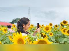 
      
      Kerala tourism cell organises Onam special bus to flower fields o
      
      