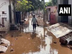 
      
      Haryana: Relief in Ambala as water levels recede in Tangri river 
      
      