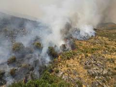 
      
      Portugal: Teen admits to starting several wildfires
      
      