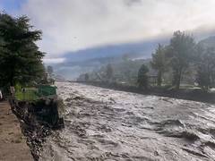 
      
      Monsoon toll in Himachal since June 20 rises to 320
      
      