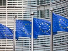 
      
      EU urges US to reconsider UN summit visa denial for Palestinians
      
      