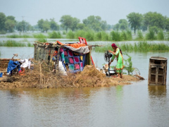 
      
      Pakistan: 33 dead, 2200 villages affected in Punjab floods
      
      