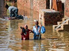 
      
      Pakistan: 5 killed in rain-related incidents across KP
      
      
