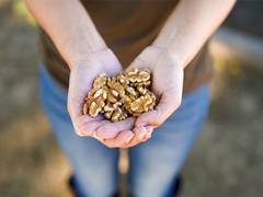 
      
      Young Adults Consuming Walnuts Reported Improved Sleep Quality
      
      