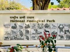 
      
      No fresh bird deaths at Delhi Zoo
      
      