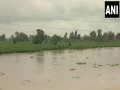 
      
      Heavy rains continue in Punjab and Haryana
      
      