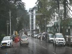 
      
      Kalka-Shimla toy train services remain suspended for third day 
      
      