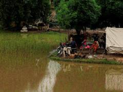 
      
      Aid pours in as floods wreck northern Pakistan
      
      