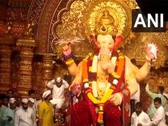 
      
      Lalbaugcha Raja's Ganesh idol immersion procession set to begin
      
      