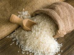 
      
      Indian agriculture sector rejoices in GST reforms
      
      