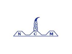 
      
      Nilachal Carbo Metalicks Limited Launches IPO
      
      
