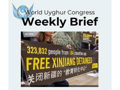 
      
      No justice for Uyghurs: WUC marks UN report anniversary
      
      