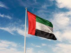 
      
      UAE supports Egypt’s efforts, condemns Netanyahu statements
      
      