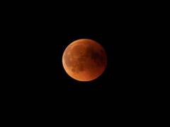 
      
      Lunar eclipse to be observed in India, Australia
      
      