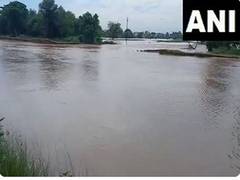 
      
      NATA donate Rs 1.25 lakh for Punjab flood relief
      
      