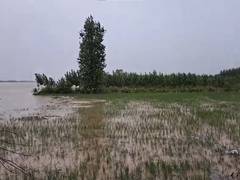 
      
      Ludhiana administration says situation under control
      
      