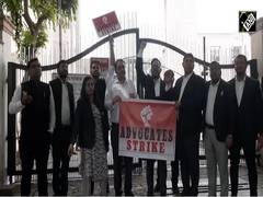 
      
      Delhi lawyers end strike after deposition demand met
      
      