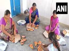 
      
      New varieties of Diwali crackers are being manufactured
      
      