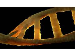 
      
      Stem Cell Therapy in Bangkok for Regenerative Medicine
      
      