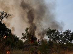 
      
      EU delays vote on 2040 climate emissions target, officials say
      
      