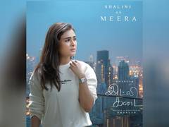 
      
      Shalini Pandey teams up with Dhanush, Nithya Menen for Idli Kada
      
      