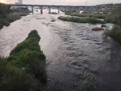 
      
      Cauvery water supply to be disrupted for three days
      
      