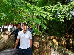 
      
      Rahul Gandhi visits flood-affected areas of Punjab
      
      