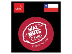 
      
      Chilean Walnuts Strengthen Presence in India with New Season 
      
      
