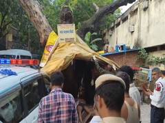 
      
      Delhi Police PCR van hits man on Thana Mandir Marg, victim dies 
      
      