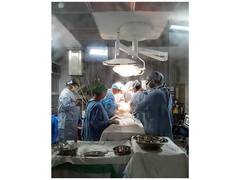 
      
      Two successful heart transplants encourage organ pledge
      
      