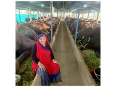 
      
      Women in Gujarat achieve Atmanirbharta
      
      