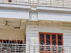 
      
      Delhi Police detain juveniles in connection with firing incident
      
      