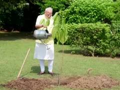 
      
      PM Modi plants Kadamb sapling gifted by King Charles
      
      