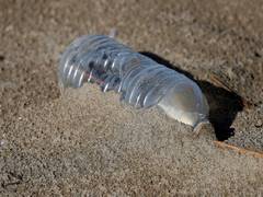 
      
      Bengaluru initiates awareness against banned single-use...
      
      